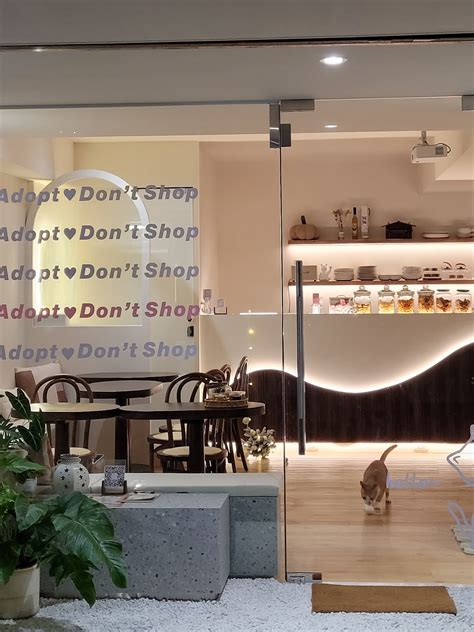 m17 cafe & lab 中途貓咪咖啡館實驗室的菜單|第三彈！11間台北新北貓咪餐廳分享：有貓咖啡、一隅有貓、幸福 .